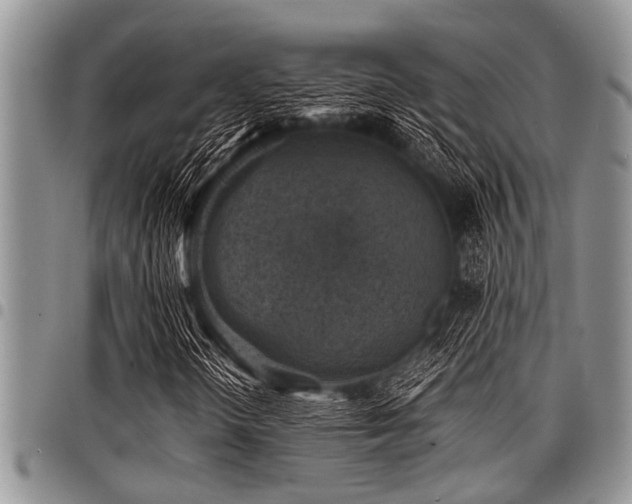 X0000098161298200804171549
