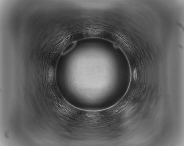 X0000098161299200804171549
