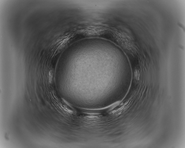 X0000098161300200804171549