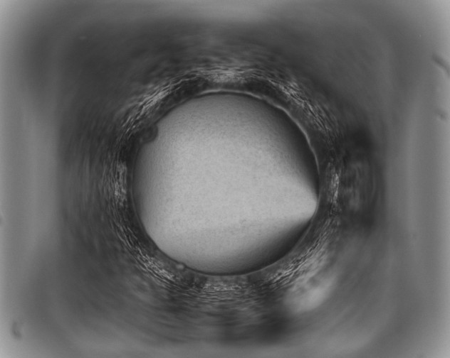 X0000098161301200804171549