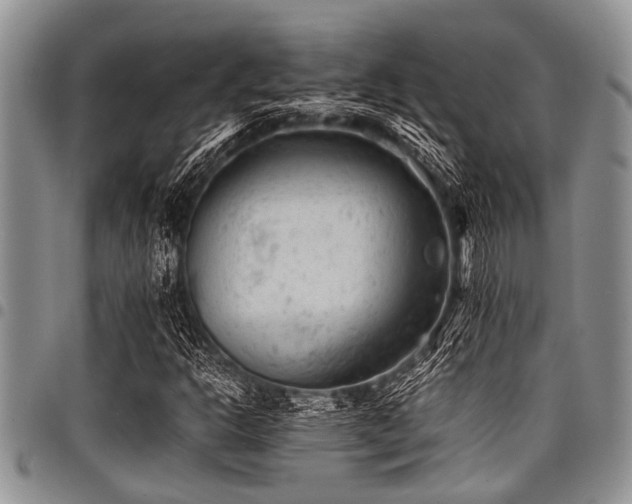 X0000098161302200804171549