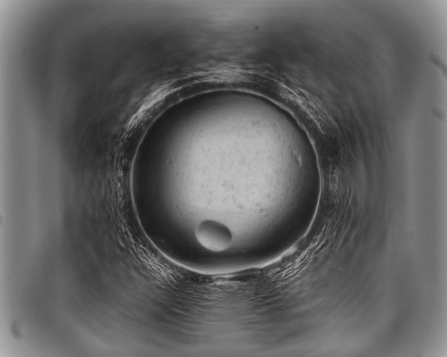 X0000098161304200804171549