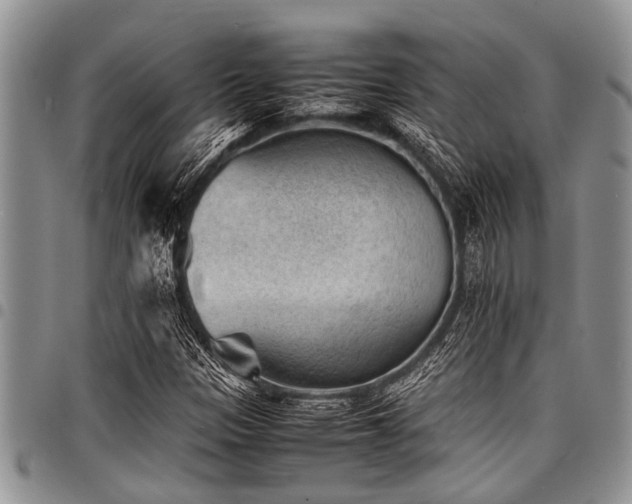 X0000098161305200804171549
