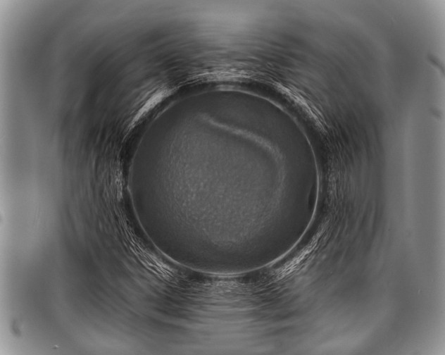 X0000098161306200804171549
