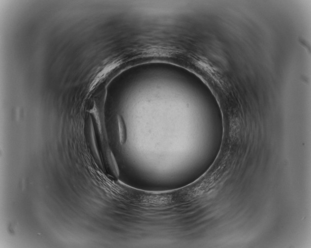 X0000098161307200804171549