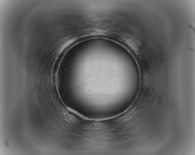 X0000098161308200804171549