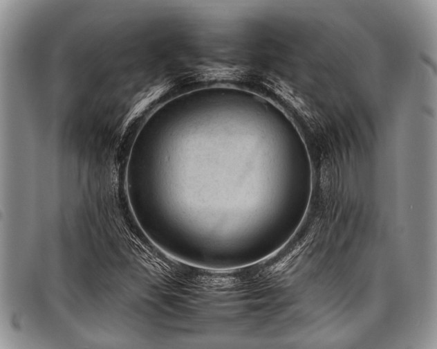 X0000098161309200804171549