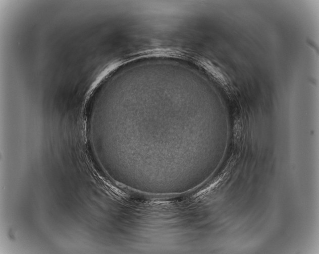 X0000098161310200804171549