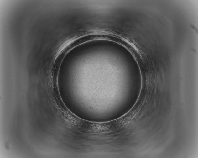 X0000098161311200804171549