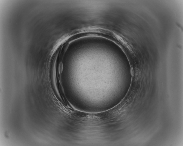 X0000098161312200804171549