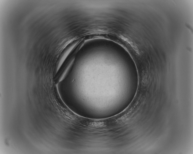 X0000098161313200804171549