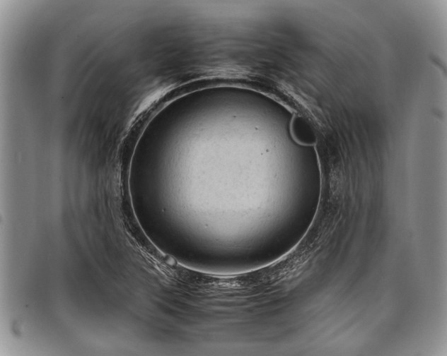 X0000098161315200804171549