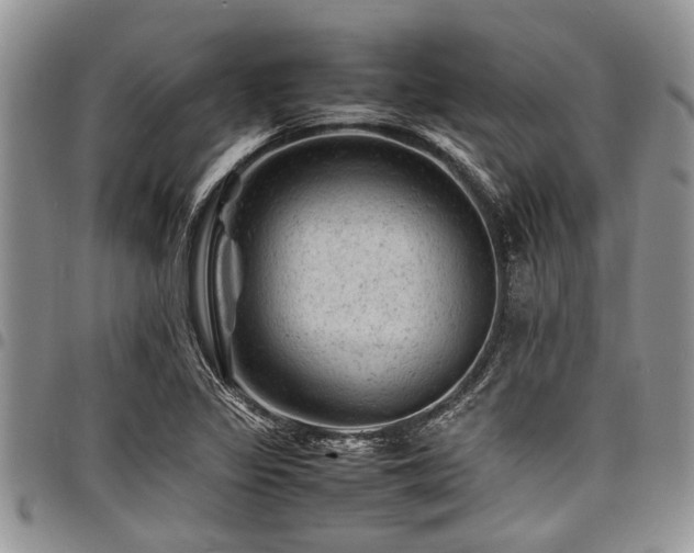 X0000098161317200804171549