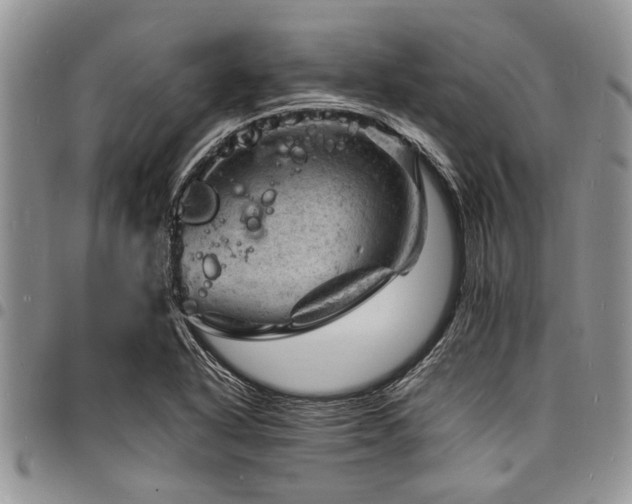 X0000098161318200804171549