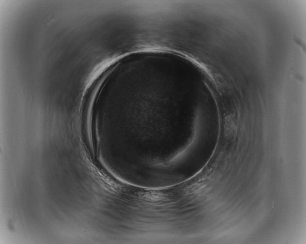 X0000098161319200804171549