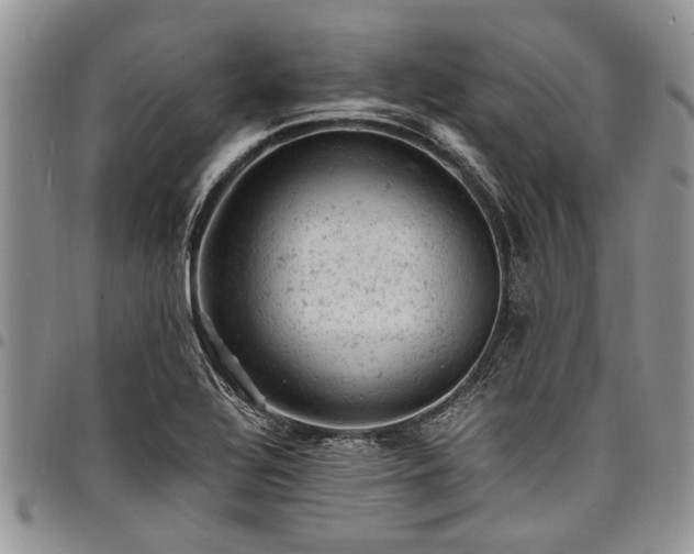 X0000098161320200804171549