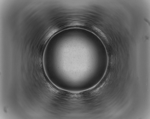 X0000098161321200804171549