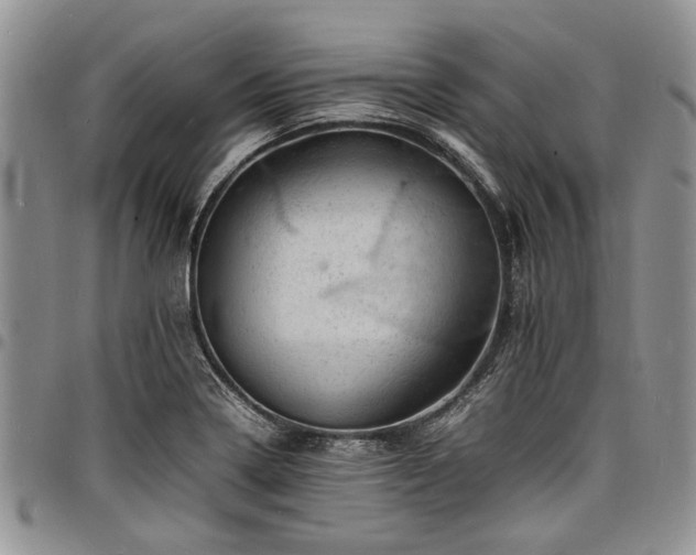 X0000098161322200804171549