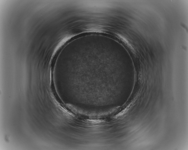 X0000098161323200804171549
