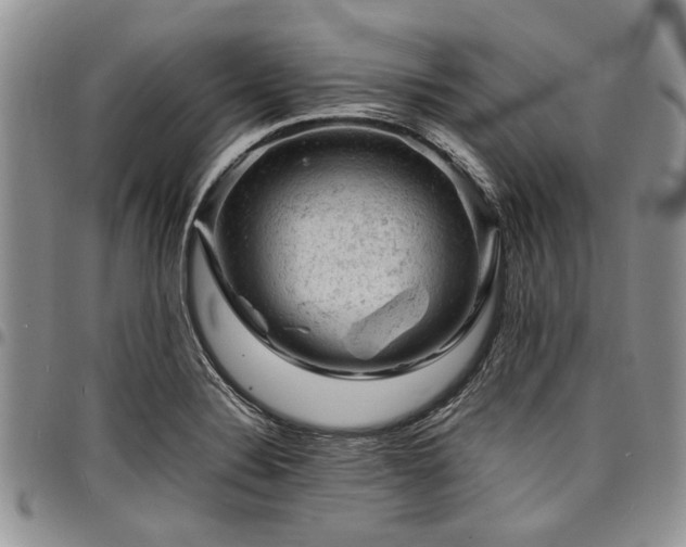 X0000098161324200804171549
