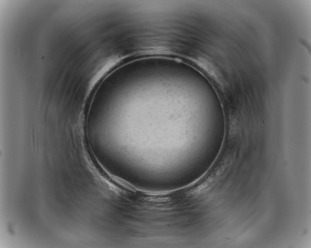 X0000098161325200804171549