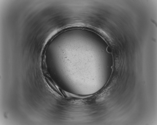 X0000098161326200804171549