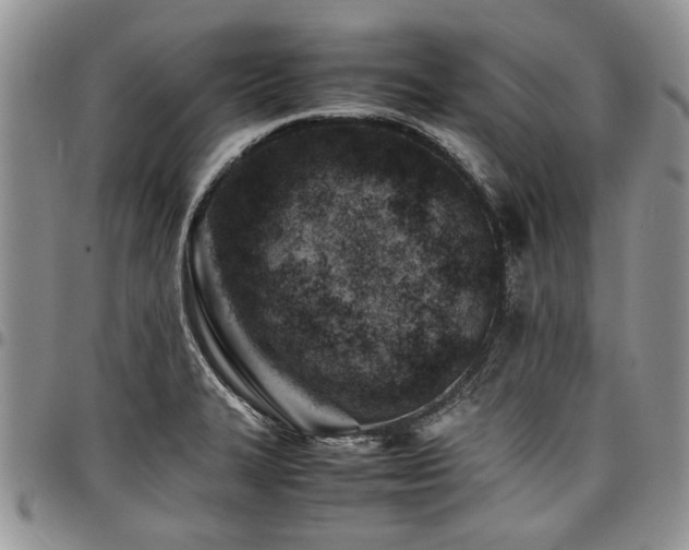 X0000098161327200804171549