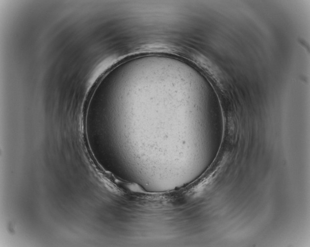 X0000098161328200804171549