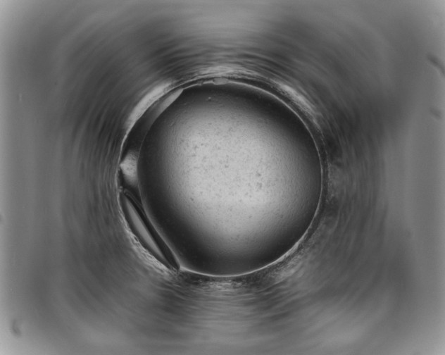 X0000098161330200804171549