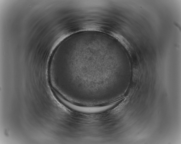 X0000098161331200804171549