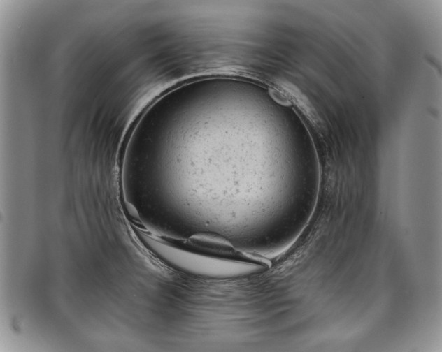 X0000098161332200804171549