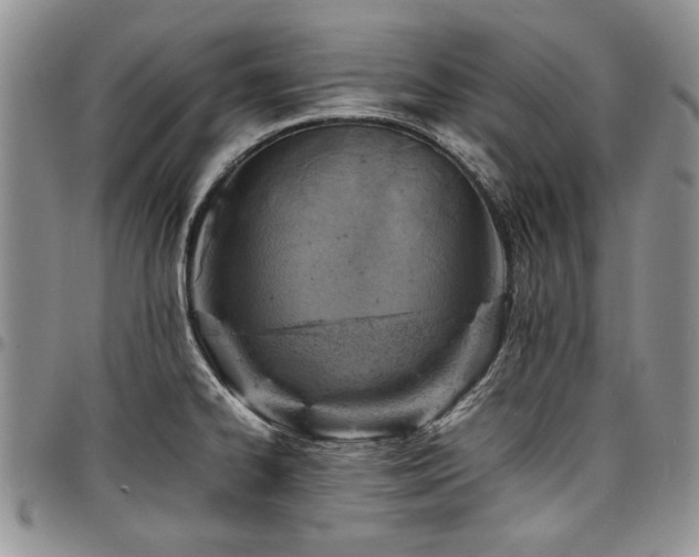 X0000098161334200804171549