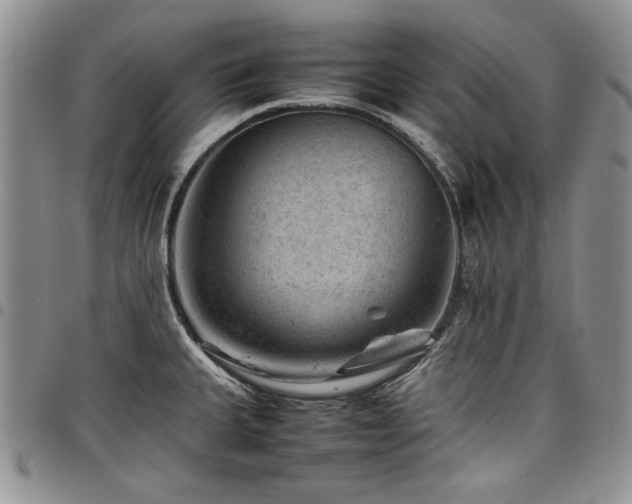 X0000098161335200804171549