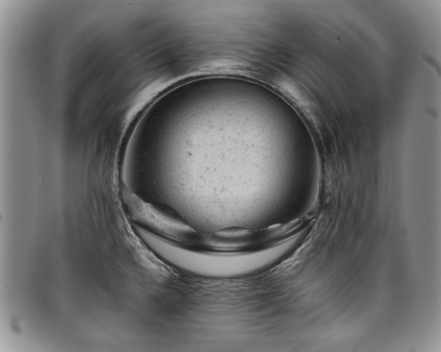 X0000098161336200804171549