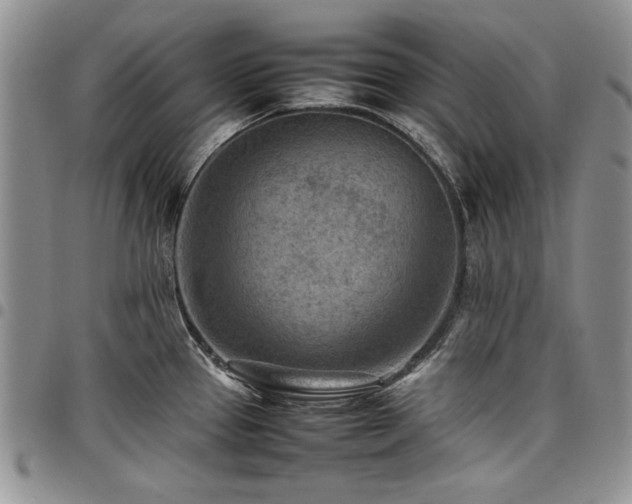 X0000098161337200804171549