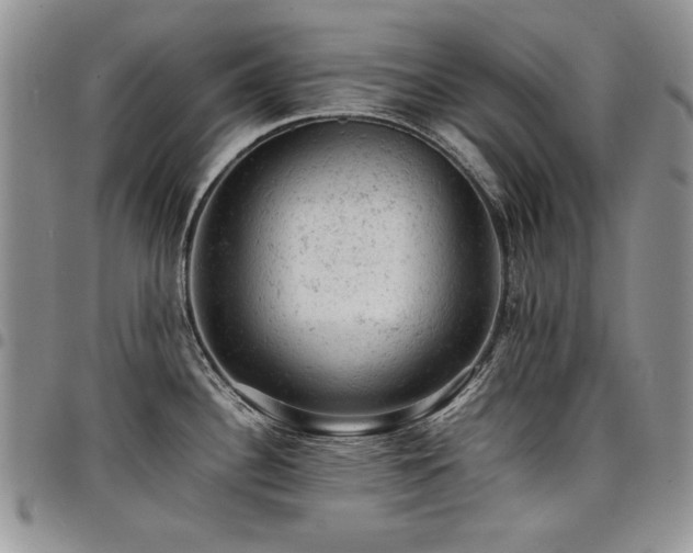 X0000098161340200804171549