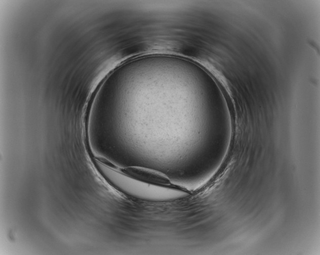 X0000098161341200804171549