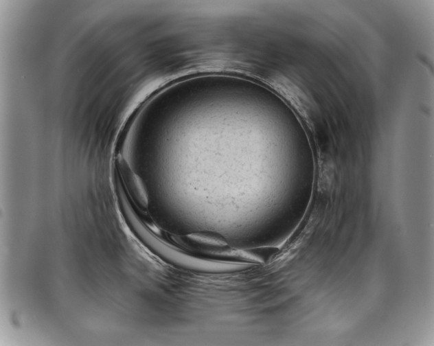 X0000098161342200804171550