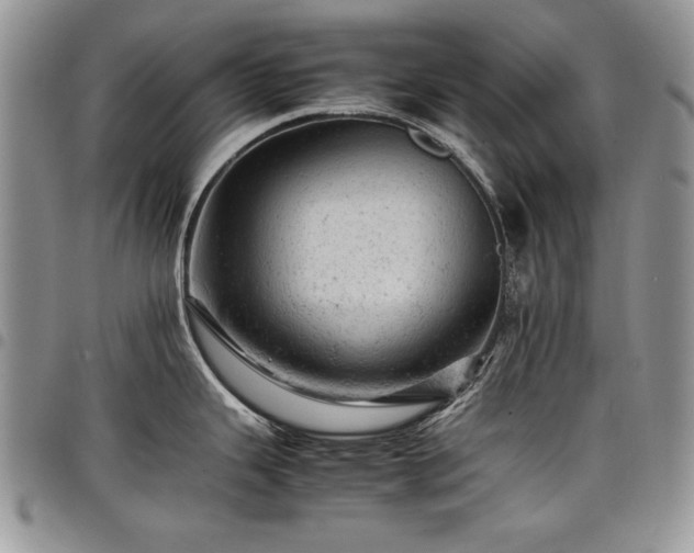 X0000098161343200804171550