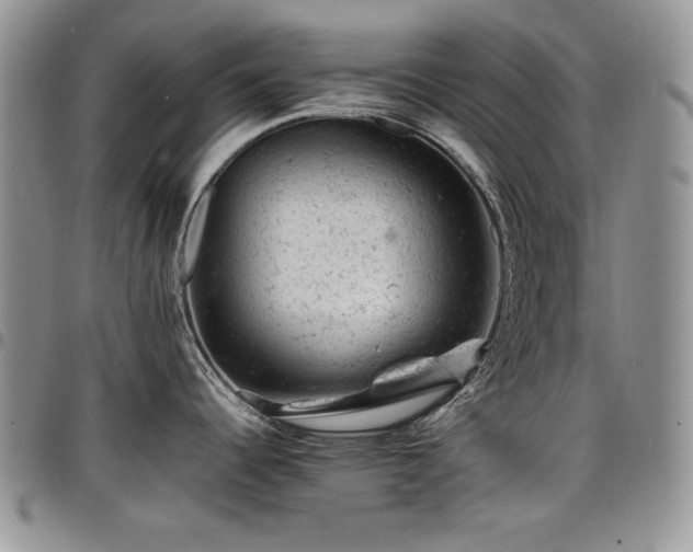 X0000098161344200804171550