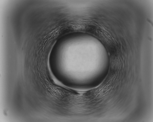 X0000098161345200804171549