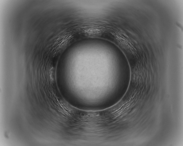 X0000098161346200804171549