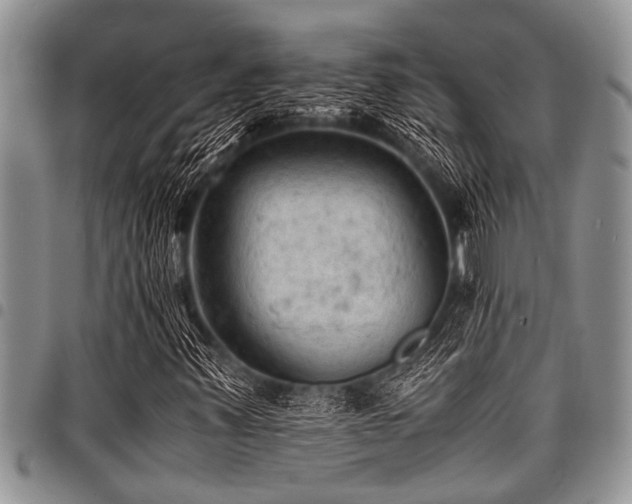 X0000098161347200804171549