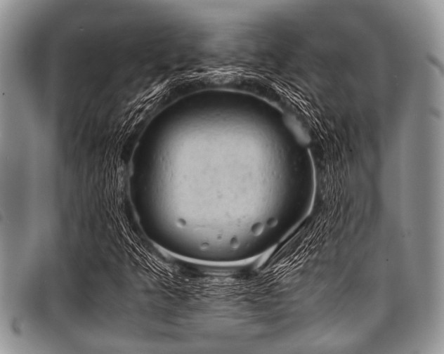 X0000098161349200804171549