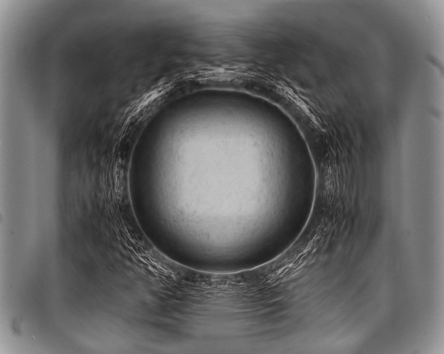 X0000098161350200804171549