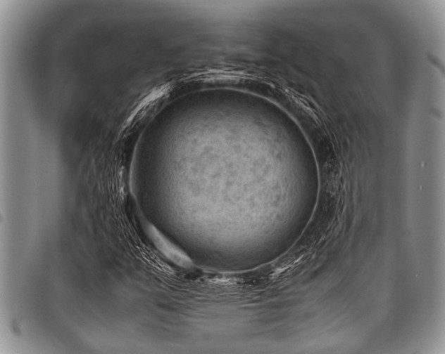X0000098161351200804171548