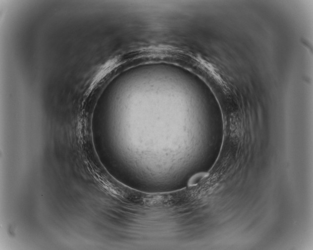 X0000098161352200804171548
