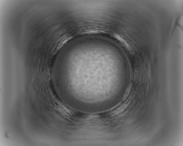 X0000098161353200804171548
