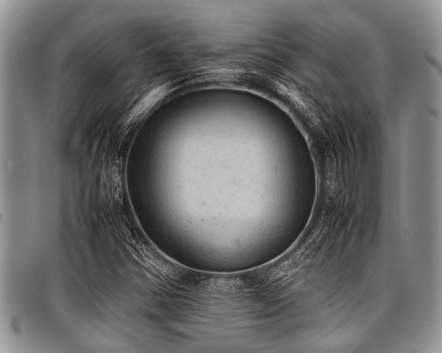 X0000098161354200804171548