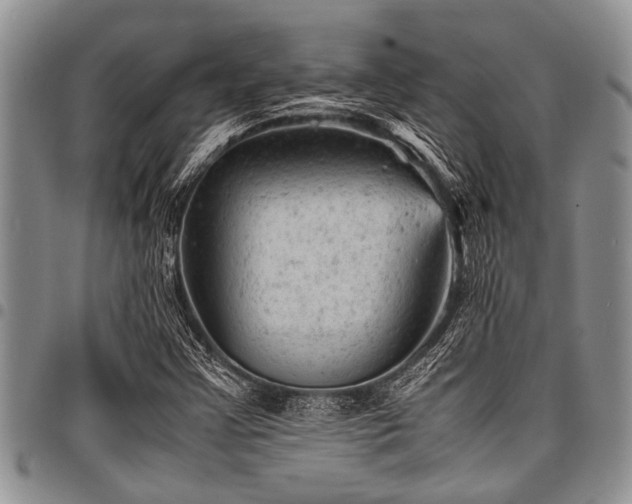 X0000098161355200804171548